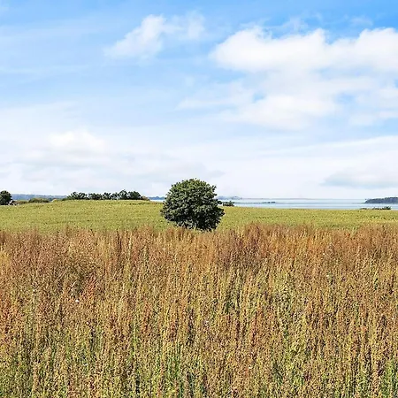 6 Person In Faaborg-by Traum *